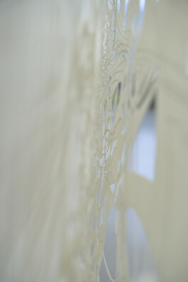 Alice Gericke