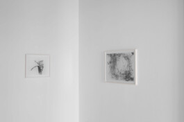 Alice Gericke