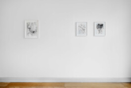 Alice Gericke