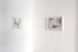 Alice Gericke