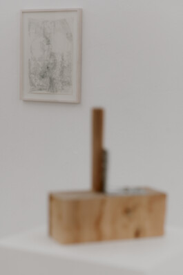 Alice Gericke